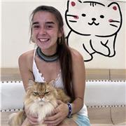 Profesora de Apoyo (primaria y secundaria), Inglés, Francés